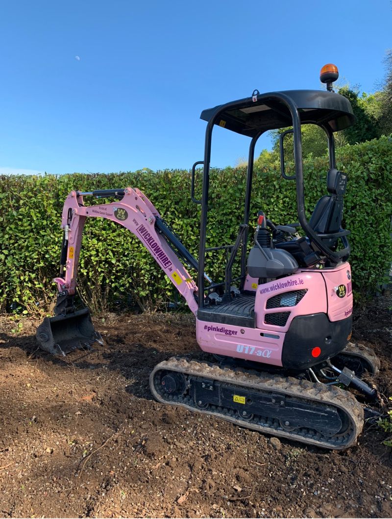1.7 Ton Pink Digger (in Aid of Wicklow Cancer Support)